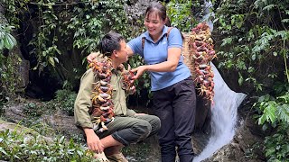 Harvesting Giant Crabs Goes to Market Sell - Xuan and Hien farm life