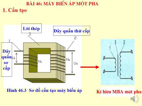 CÔNG NGHỆ 8 Tuần 24