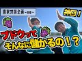 ブドウ農家のお客様に禁断の質問【後編】