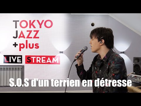 Dimash - S.O.S D'un Terrien En Détresse | Tokyo Jazz Festival 2020