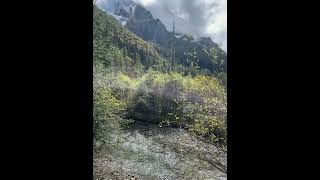 IMG 3010