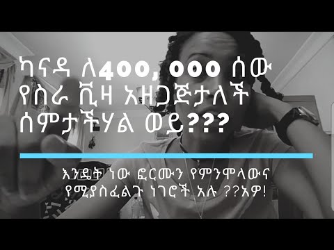 ቪዲዮ: የእንግሊዝን ድመት እንዴት ማጠብ እንደሚቻል