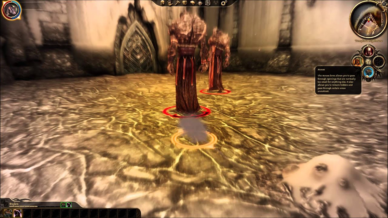 The Circle Mage - Dragon Age: Origins Game Guide