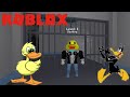 Duck Dash Codes Roblox