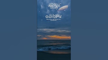 #القارئ عبدالباسط عبدالصمد