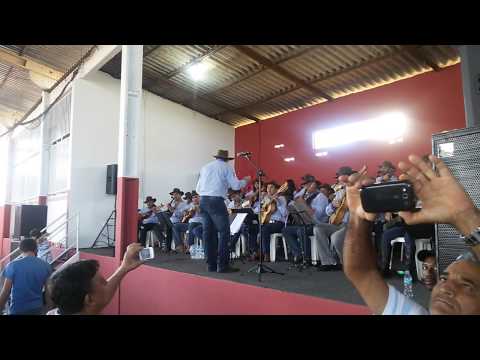 Orquestra "Viola em Noite de Lua" -"Chico Mineiro", 07/09/14, Uberlândia/MG.