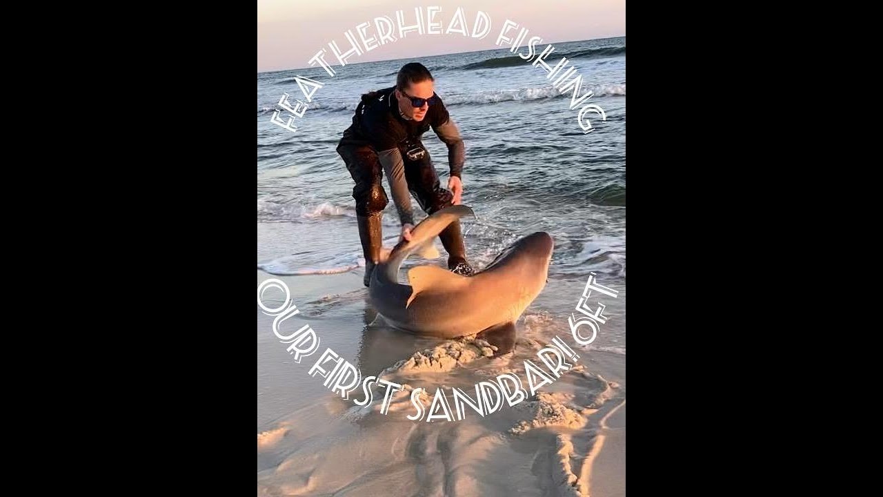 First Sandbar Our First Sandbar!! 6FT - YouTube