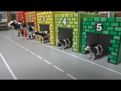 5마리 소가 호랑이를 피해 <strong>차고지에</strong> 들어가다 5 cows escape the tiger and enter the garage