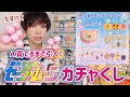 【完売注意】超人気のセーラームーンのガチャくじをA賞でるまで引いてみた【乙女のアソートコレクション2】Pretty Guardian Sailor Moon