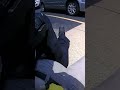 Dumb Cops Assult Their Own 👮🏻‍♂️