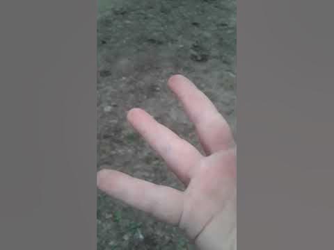 знак такильсково гуля - YouTube