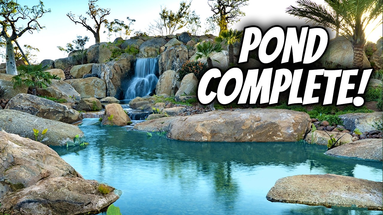 ULTIMATE Pond Reveal: финальная стадия строительства в Африке