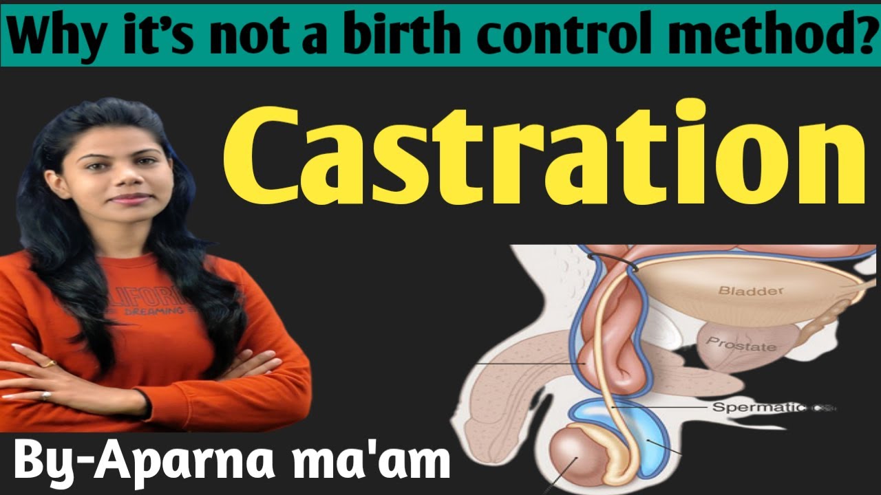 Castration Method YouTube