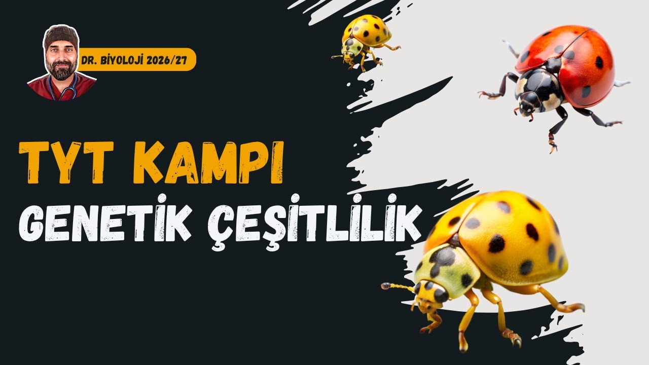 Genetik Çeşitlilik | Dr. Biyoloji | Dönem 2026 - 2027