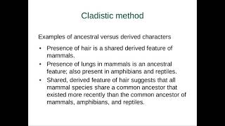 Class 3- systematics and phylogenetics