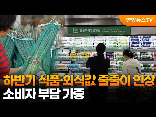 하반기 식품·외식값 줄줄이 인상…소비자 부담 가중 / 연합뉴스TV (YonhapnewsTV)