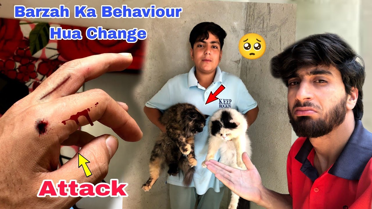 Barzah Ka Behaviour 😢 Attack || Ehsan Vlogs - YouTube