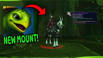 DEATHSTEED IN TURTLE WOW!