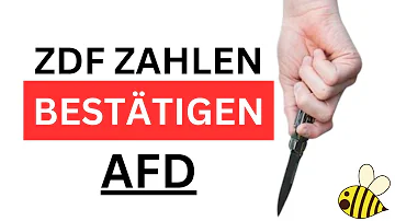 ZDF spricht aus was AfD seit Jahren öffentlich verkündet