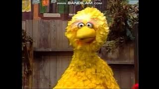 Classic Sesame Street - Elmo and Big Bird 