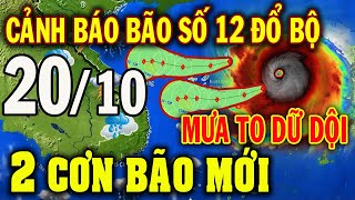 Tin bão Mới Nhất | Dự báo thời tiết hôm nay ngày mai 20\/10 | dự báo thời tiết 3 ngày tới #thoitiet