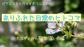 ありふれた日常 Youtube