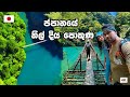 මරණ බය දැනෙන එල්ලෙන සිහින පාලම |YUME NO TSURIBASHI SUSPENSION BRIDGE | Hithumathe JAPAN Travel |4K