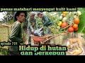 bertahan puasa di bawa terik panas matahari warta petani muda hidup di hutan