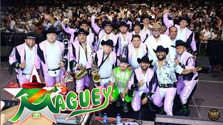 🏆 Banda Maguey Corridos y Rancheras - 20 Exitos Inmortales Mix 2026