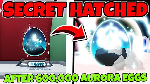After 600,000 AURORA Eggs I HATCHED A SECRET In Bubble Gum Simulator INFINITY
