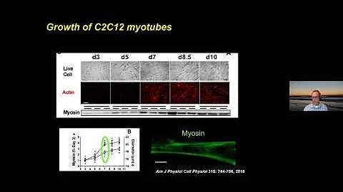 Michael Toth - "Skeletal muscle adaptations to can...