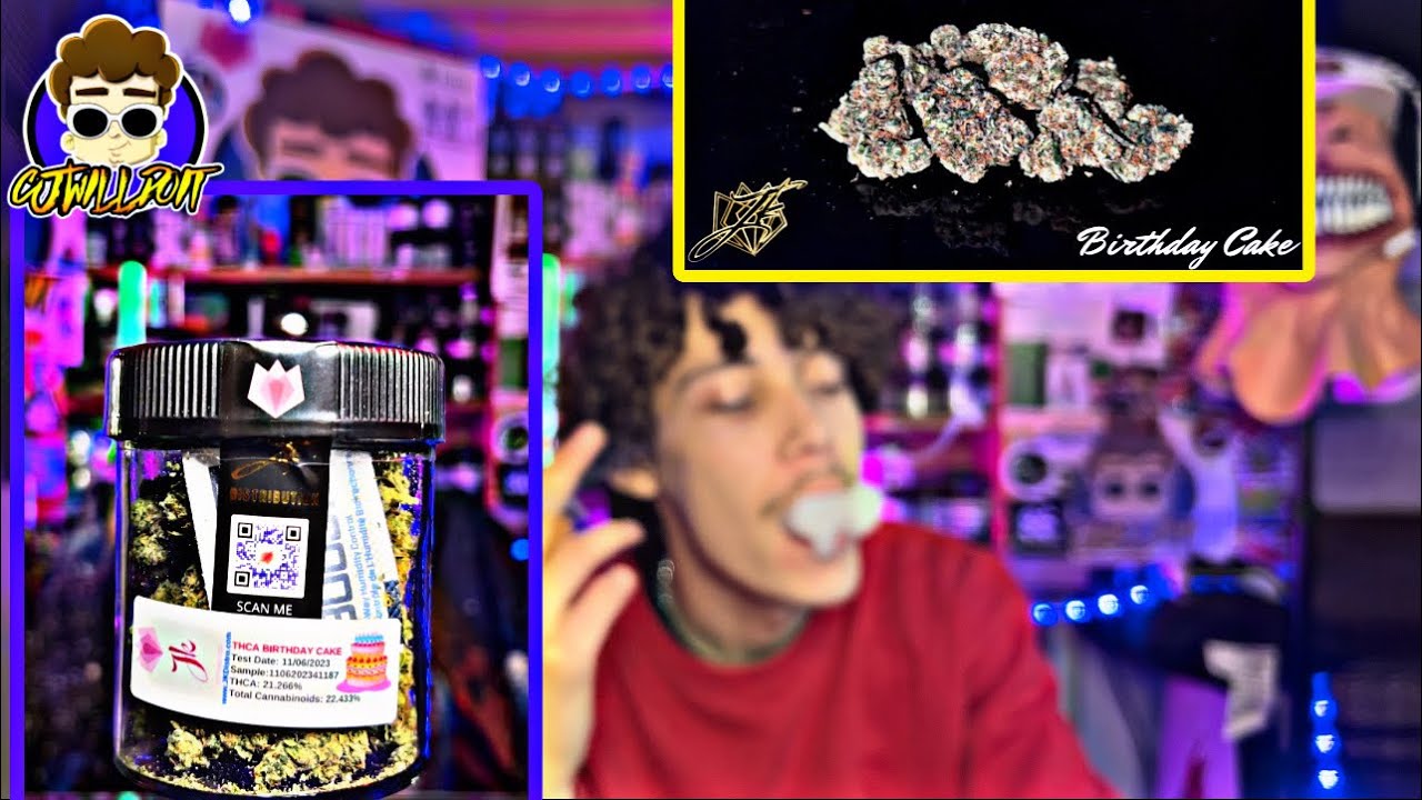 GSC X CHERRY PIE A BANGING TREAT ! JKDISTRO BIRTHDAY CAKE YouTube