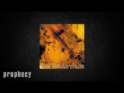 Amber Asylum — Amber Asylum - Heckle and Jeckle