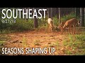 Southeast 2018 | Seasons Shaping Up