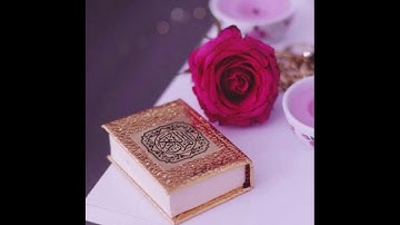 ماتيسر من سورة القصص . القارئ عصام العبيدي