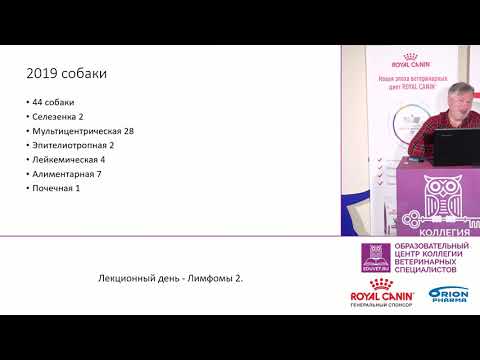 Видео: 5 советов по лечению и борьбе с лимфомой собак