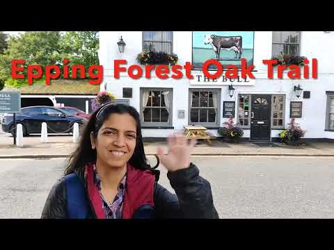 Epping Forest Oak Trail | #london #travel #uk #nature #travelogue #marathi #flowers #trail #vlog