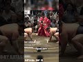 Убрал последнее препятствие 🚧💥#japan #япония #юмор #sumo #mma#sports#ufc #спорт#wwe#сумо#fight#final