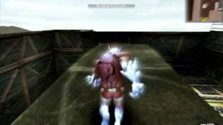[WOLFTEAM] Glitch in Rose,  May 2011