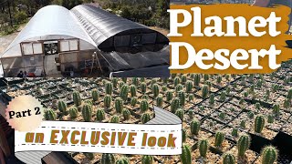A (2nd) Look Inside Planet Desert Nursery | Tips on Care for #Cactus and Succulents | Nursery Tour