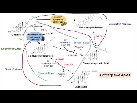 Video: Ce este acidul pivalic?