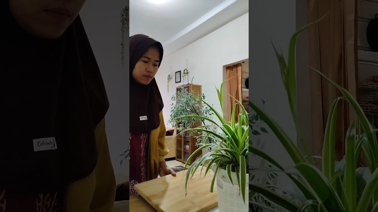 samba lado tanak hari ini... 