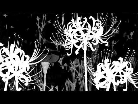 【VALORANT】TIBA TIBA PALOLANGGG