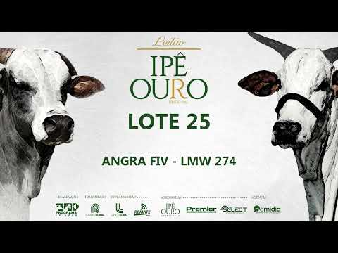 LOTE 25   LMW 274