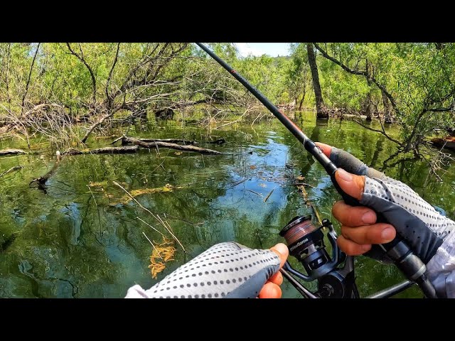 Kayak Fishing LIVE - Lake Conway 