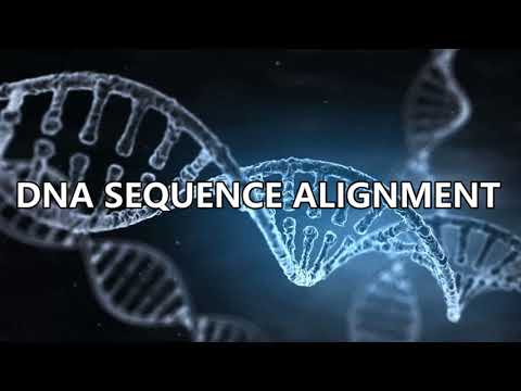 DNA Sequence Alignment | Local Sequence Alignment | Smith-Waterman algorithm | VLSI Projects