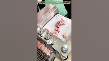 Robotic Precision: How Machines Perfectly Cut Chicken in Seconds