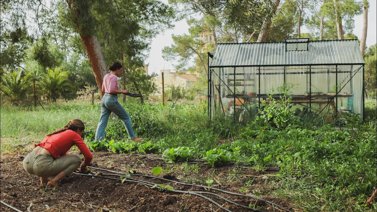 Primavera viviendo con 100+ animales - Pollitos, patitos y la historia REAL del 
