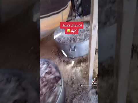 فيديو: بودنغ خثارة التوت البري مطبوخ في طباخ بطيء