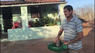 Benedito shows off the biggest bull in the region that he bought from Tonzinho.